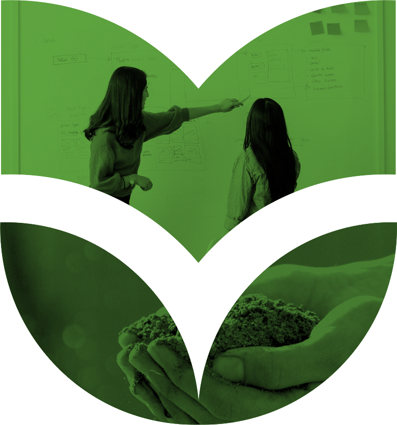 Education and sustainability