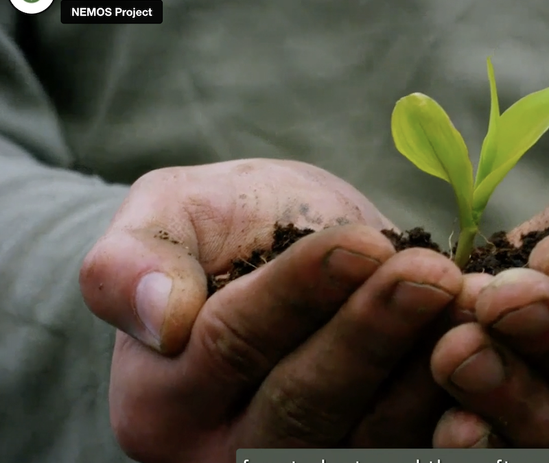 The NEMOS project releases new video